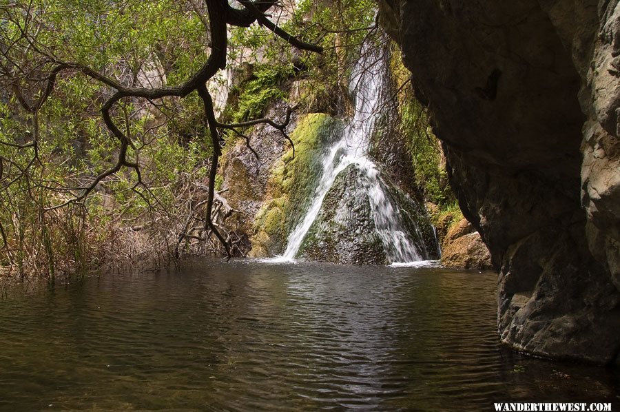 Darwin Falls