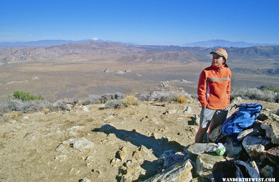 Dashka Takes in the View atop Ryan Mountain