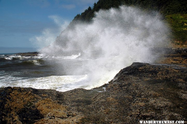 Devil's Churn @ Cape Perpetua