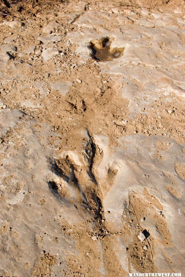 Dino Tracks along the Picketwire