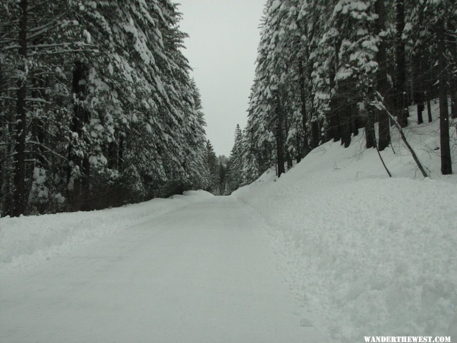 Driving into Yosemite