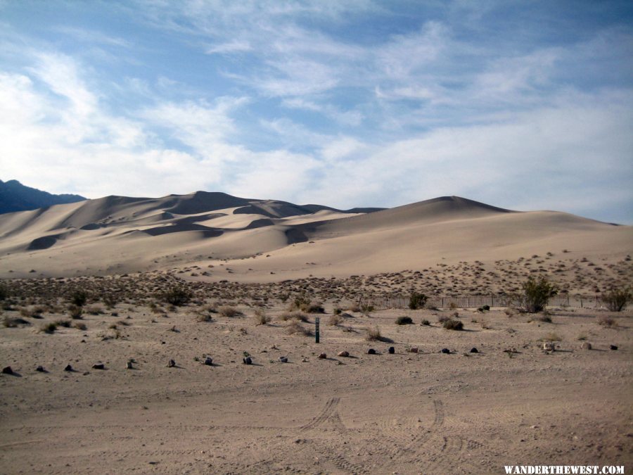 Dunes from the bottom