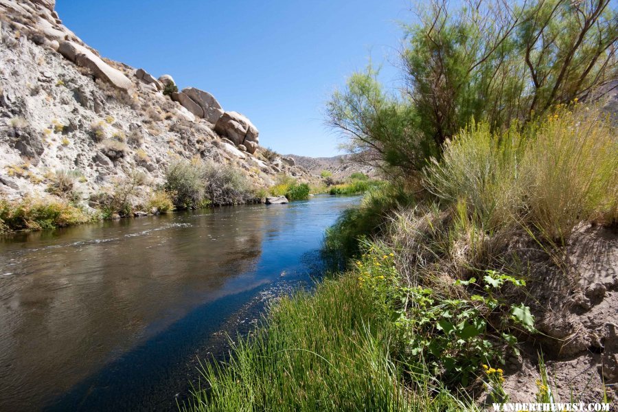 East Walker River, NV