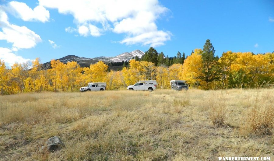 Eastern sierras fall colors