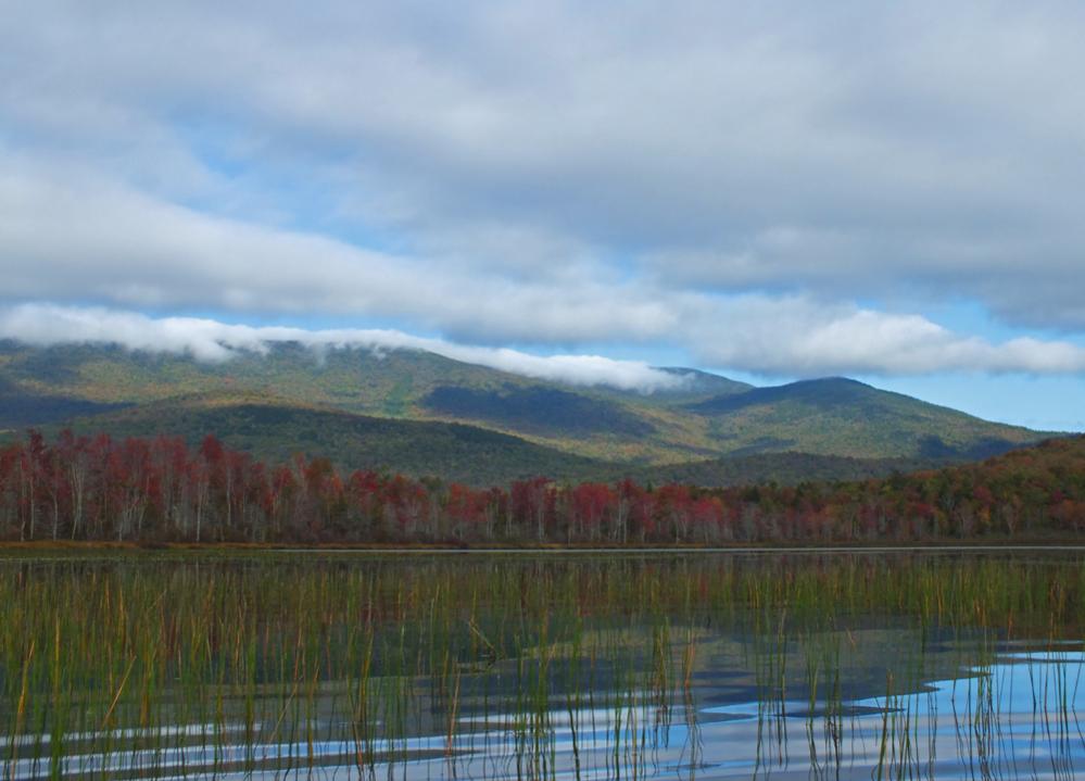 Elbow Pond