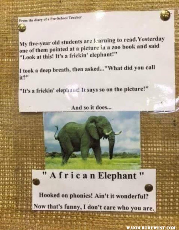 Elephant joke