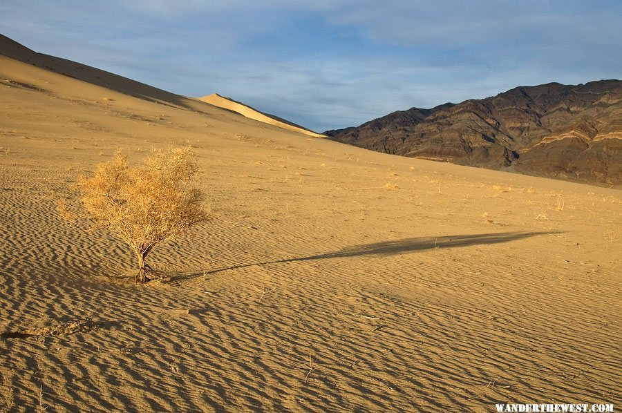 Eureka Sand Dunes