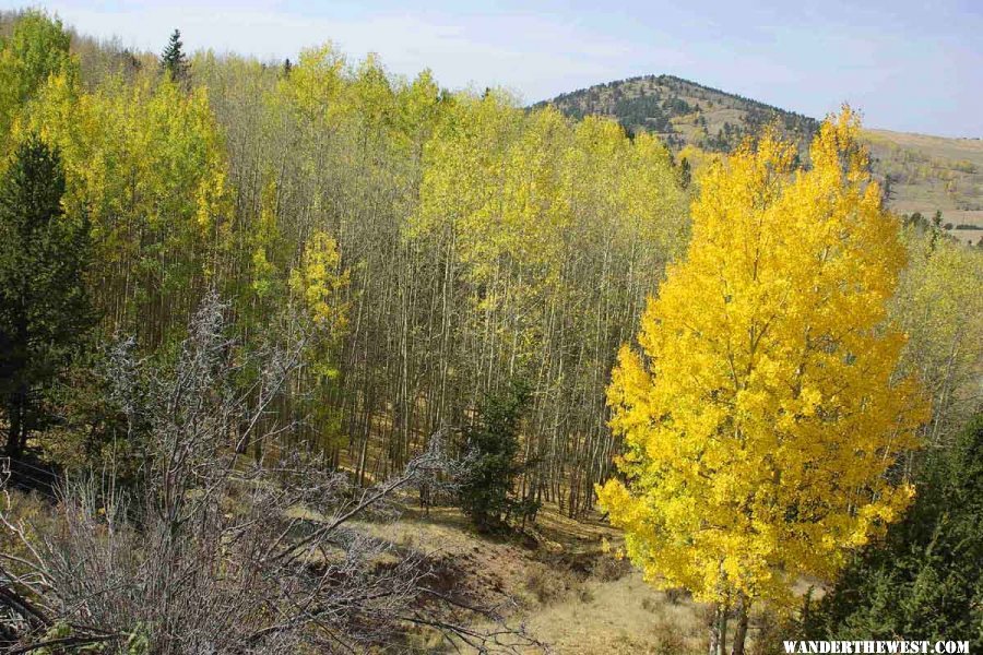 Fall Colors on the Gold Belt Scenic Byway