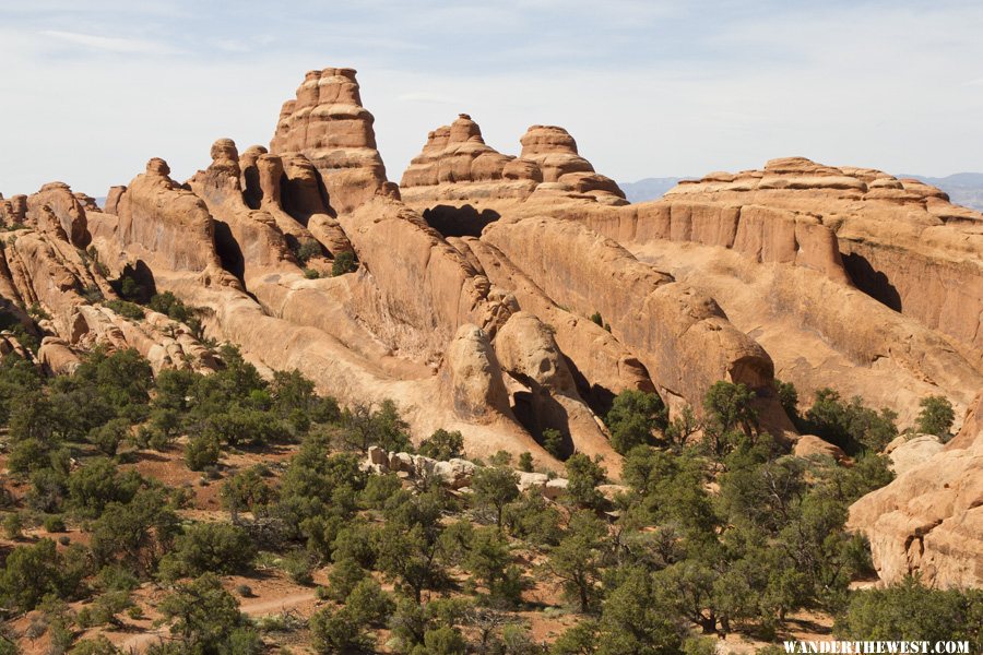 Fins at Arches