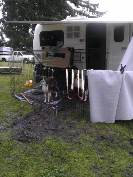 First camping in the trailer at a dog event Memorial Day weekend