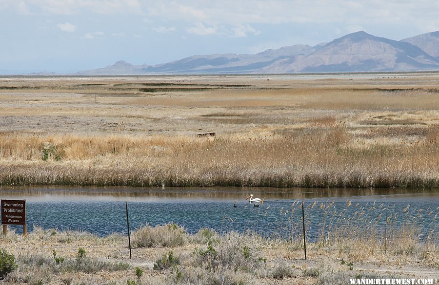 Fish Springs NWR - On the Pony Express Trail