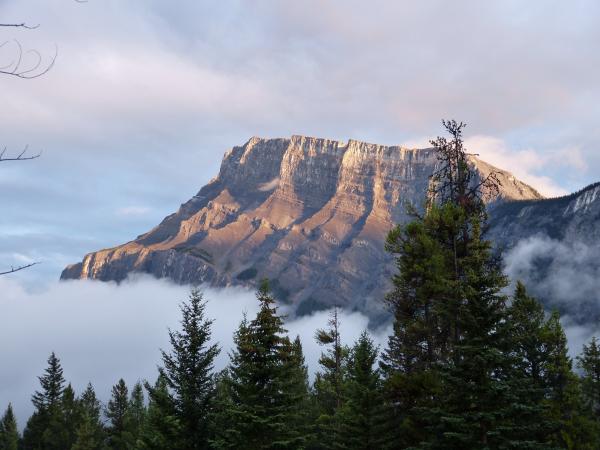 From Banff campground, Tunnel Mountain Village II