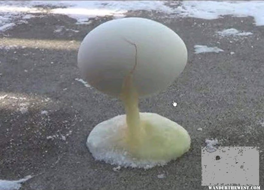 frozen Egg