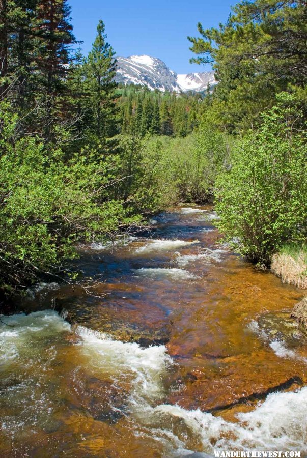 Glacier Creek at the Foot of Bierstadt Lake Trail