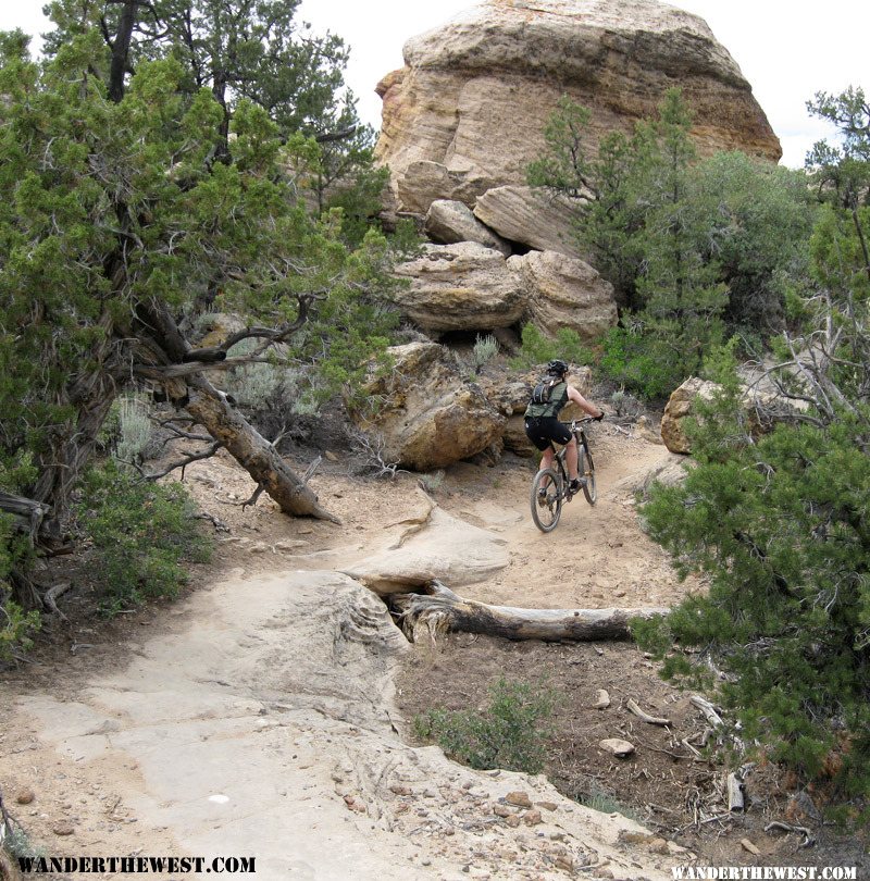 Gooseberry Mesa