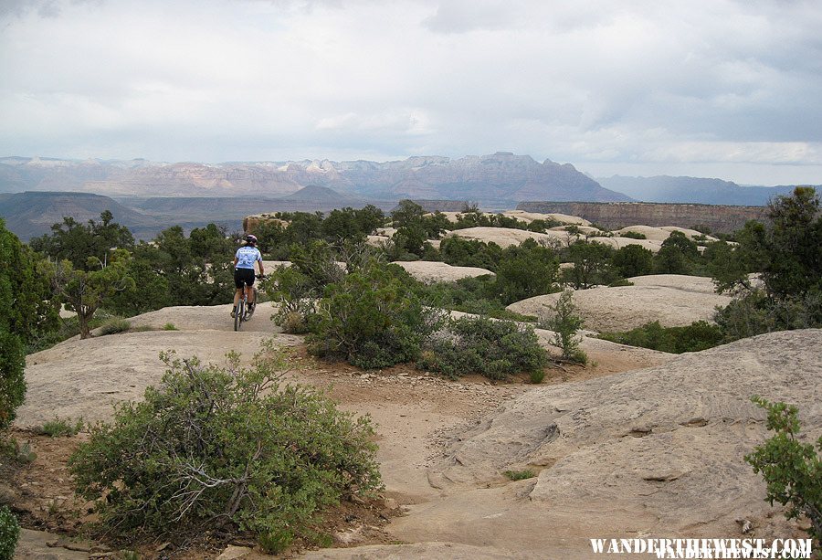 Gooseberry Mesa