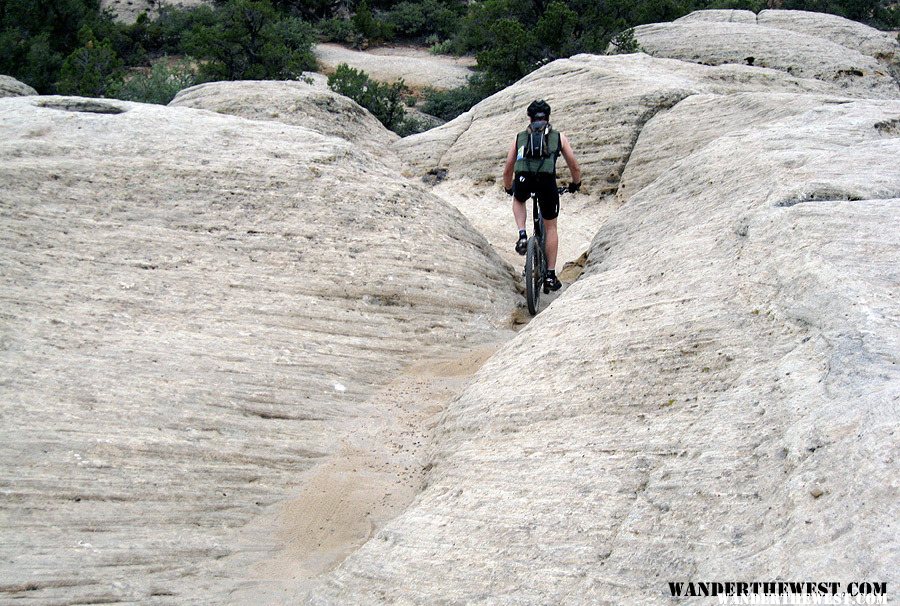 Gooseberry Mesa