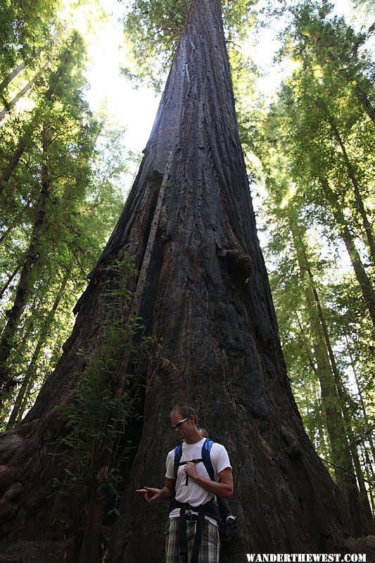 Gould Grove Nature Trail