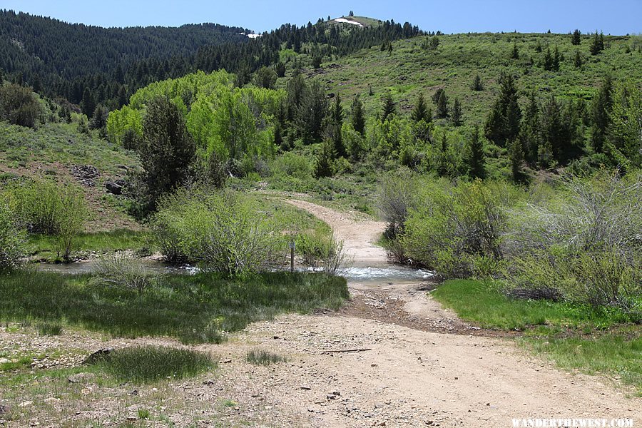 Great dispersal camping on the road to Silver City