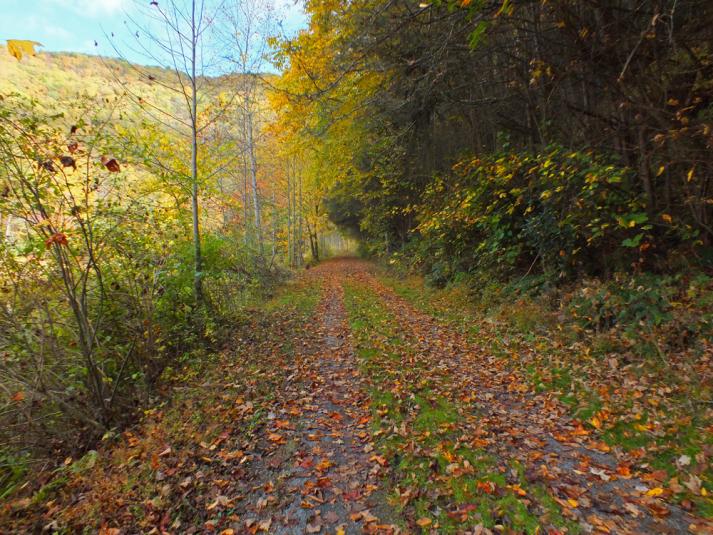 Greenbrier Rail Trail