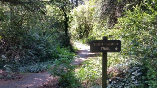 Harris Trail to Beach