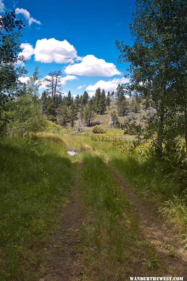 Hike above Blue Lake Campground - Modoc National Forest