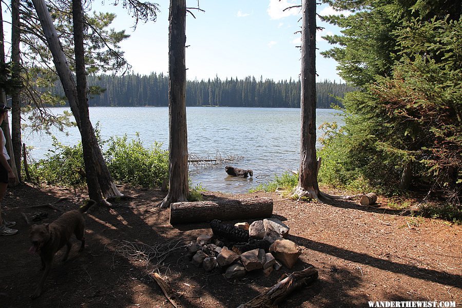 Hike in campsite at Deer Lake