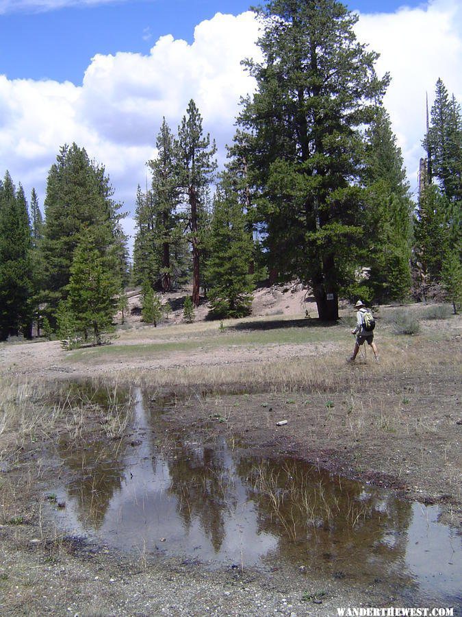 Hiking near Mammoth