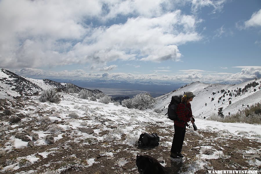 Hiking Ophir Pass