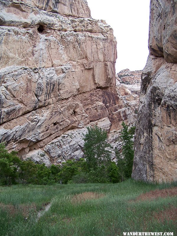 Hog Canyon Trail