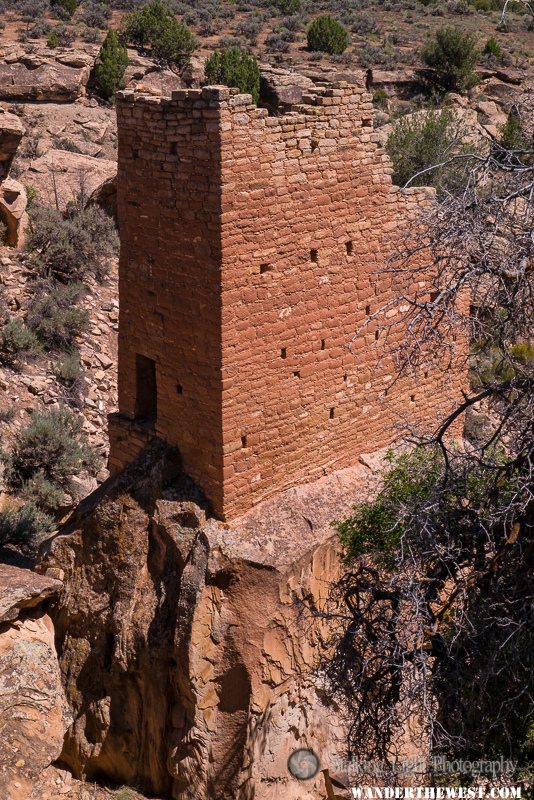 Holly Boulder House