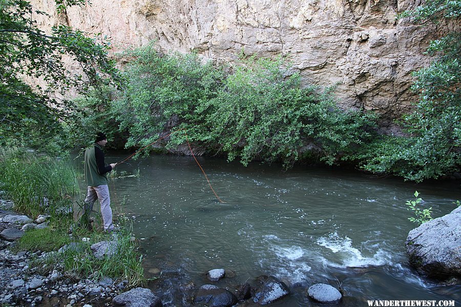 Home Skillet trying his luck at Succor Creek