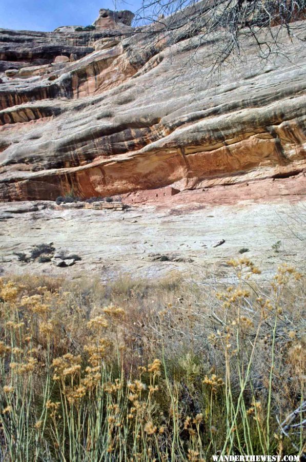 Horsecollar Ruin from Loop Trail