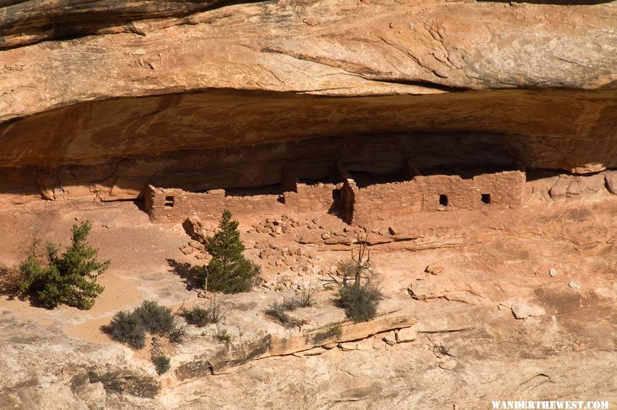 Horsecollar Ruin