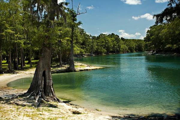 If there’s one thing that you shouldn’t miss out on while RV camping in Florida, it’s visiting the Suwannee River. One of the most famous tourist attr