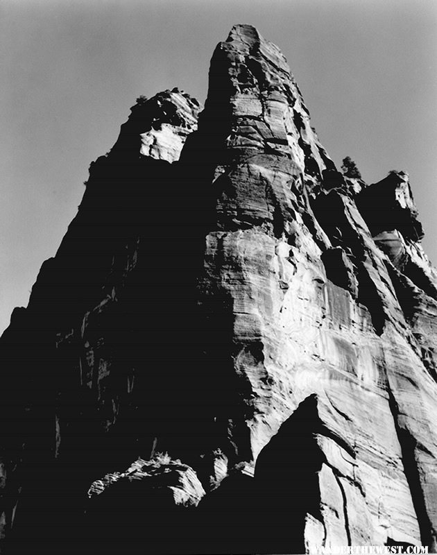 "In Zion National Park" by Ansel Adams, ca. 1933-1942