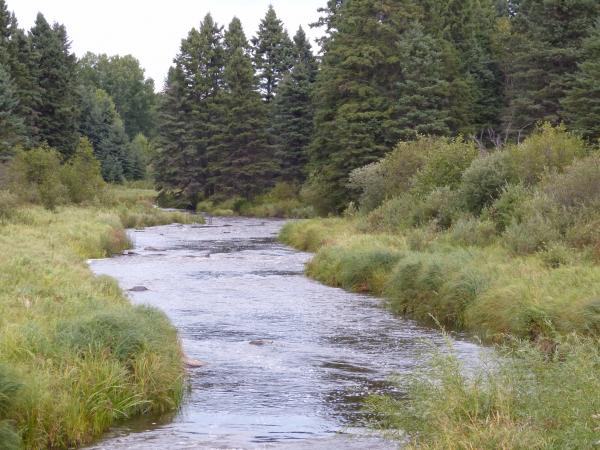 Jackfish Creek at Riding Mountain