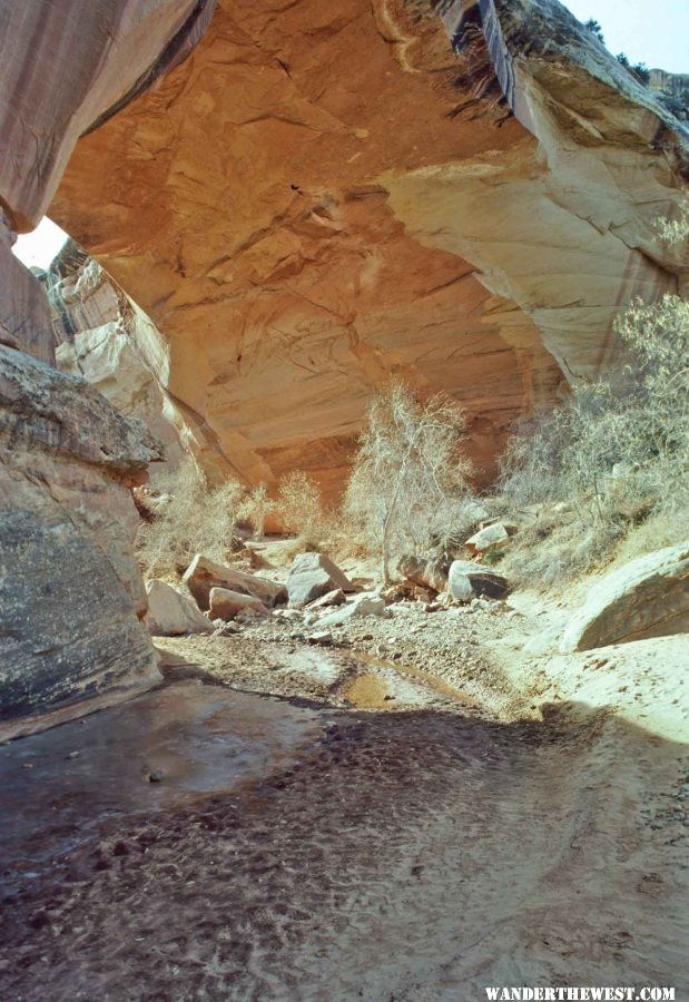 Kachina Bridge