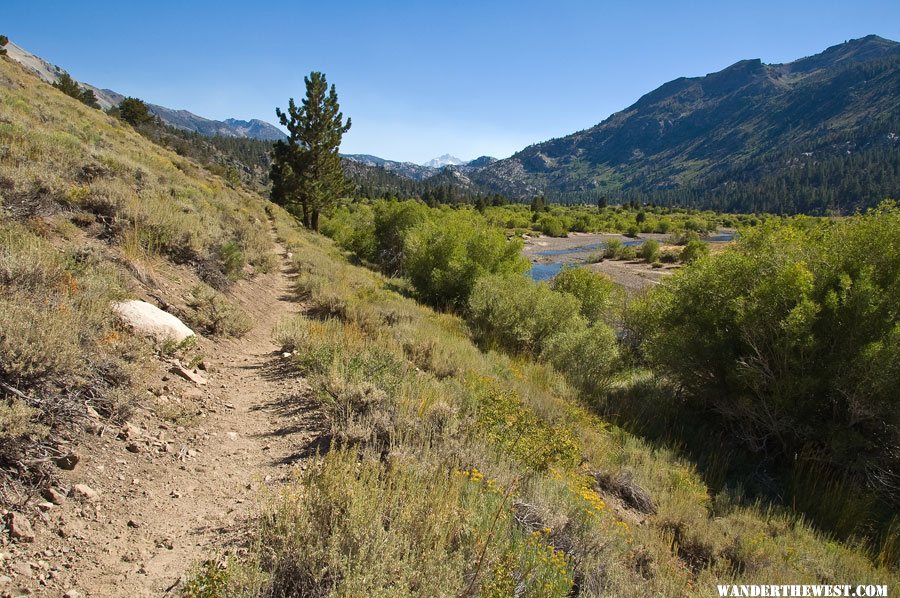 Leavitt Meadows