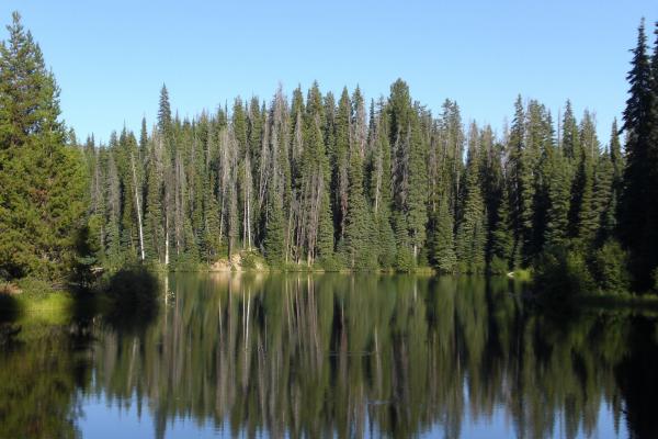 Lightning Lake Manning Park