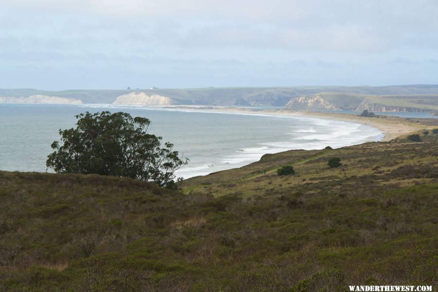 Limantour Beach