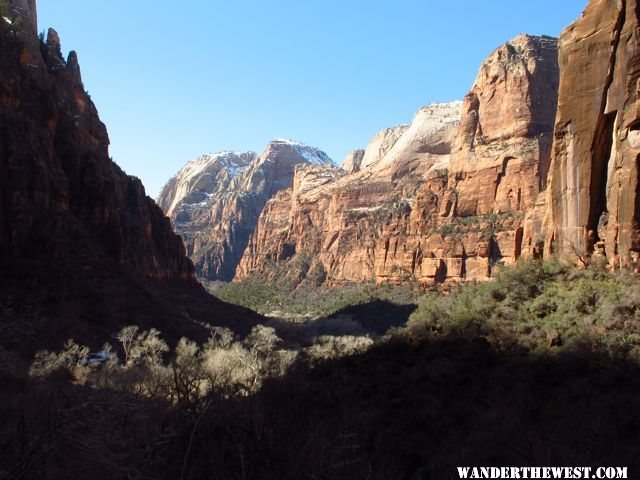 Looking Out from Weeping Rock