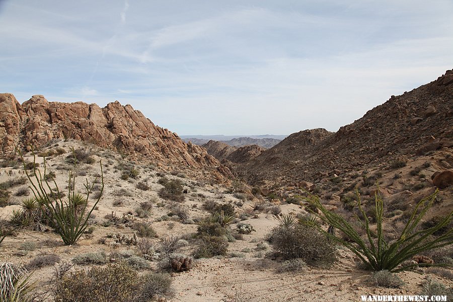 Lost Palms Oasis Trail