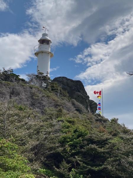 Lots of lighthouses