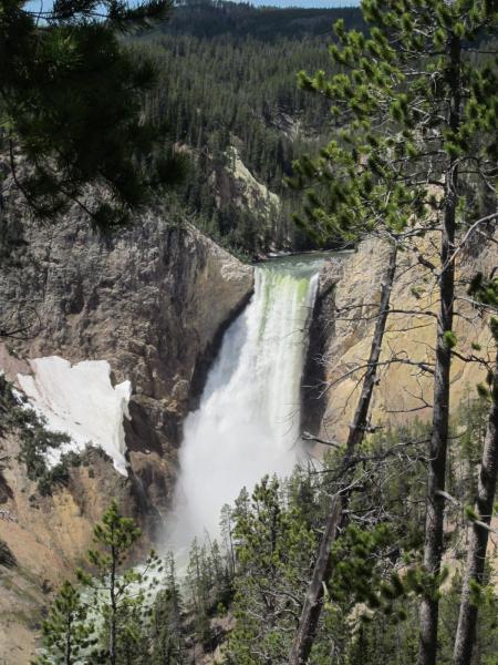 Lower Falls, Yellowstone