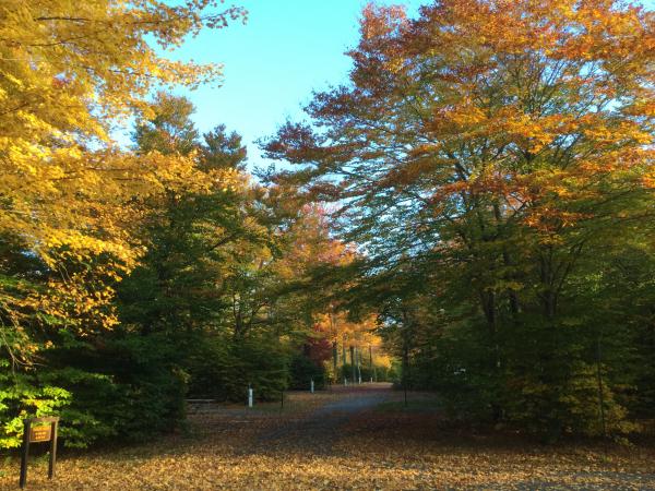 Lower Lake, Promised Land SP, Greentown, Pa. 2016