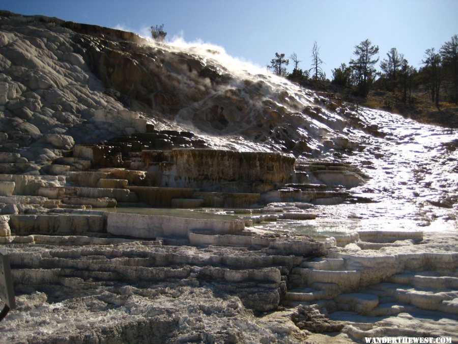 Mammoth Hot Springs