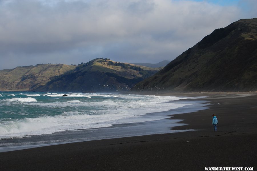 Mattole Beach, 2/6/11