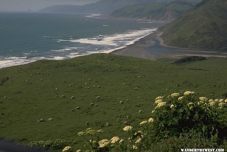 Mattole River reaches the ocean