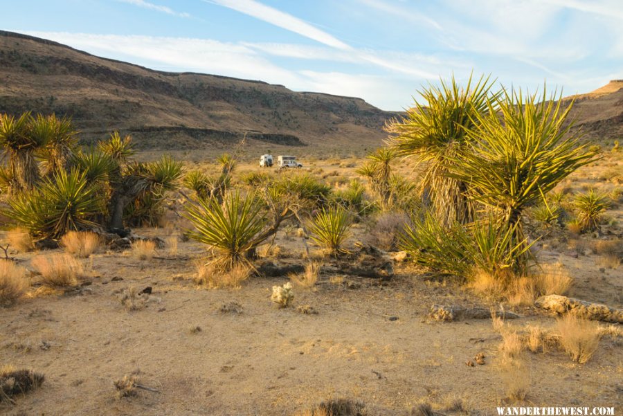 Mojave National Preserve